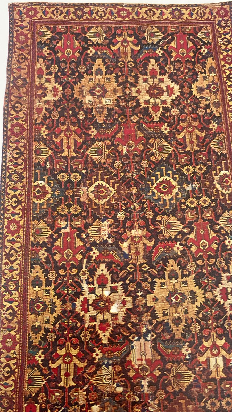 Dragon Carpet – Eagle Kasak Inspired Central Medallion Design